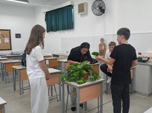 ΦΥΣΙΟΓΝΩΣΤΙΚΑ