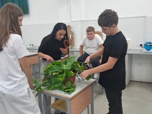 ΦΥΣΙΟΓΝΩΣΤΙΚΑ