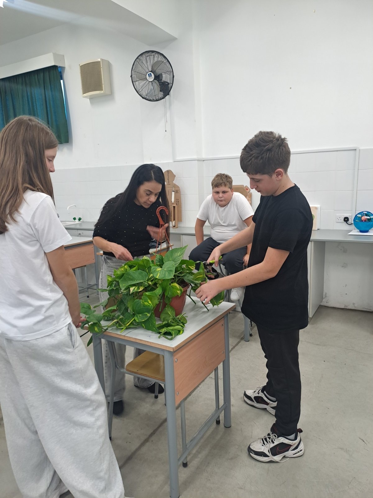 ΦΥΣΙΟΓΝΩΣΤΙΚΑ