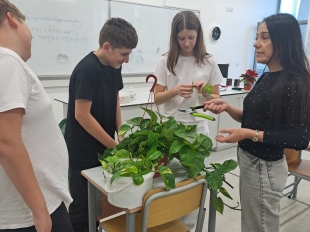 ΦΥΣΙΟΓΝΩΣΤΙΚΑ