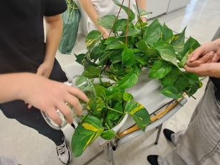 ΦΥΣΙΟΓΝΩΣΤΙΚΑ