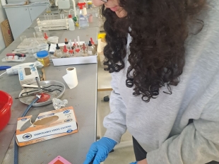 Παρασκευή Σαπουνιού